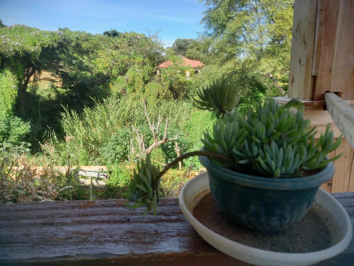 Emmy'S Backpackers Hostel Iringa Buitenkant foto
